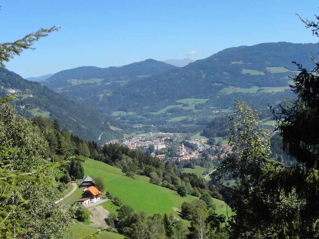 Die Petzl Huette - Kreischbergblick Kaindorf  Exterior photo